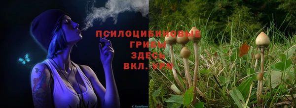 дмт Беломорск