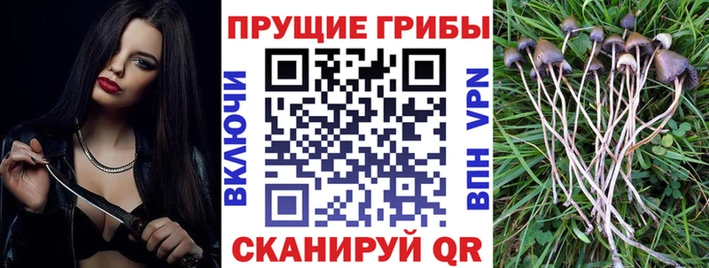 darknet состав Верхний Уфалей Псилоцибиновые грибы мицелий